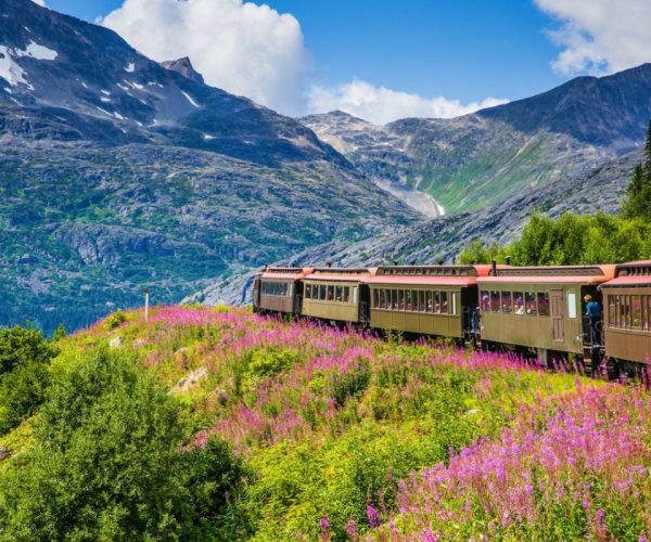 Take A Ride On The Wild Side: These 4 Alaska Trains Explore Stunning Landscapes This Summer