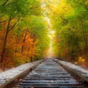 Train tracks through fall foliage